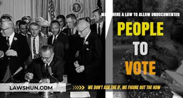 Undocumented Voting Rights: Debunking Myths About Election Laws and Citizenship