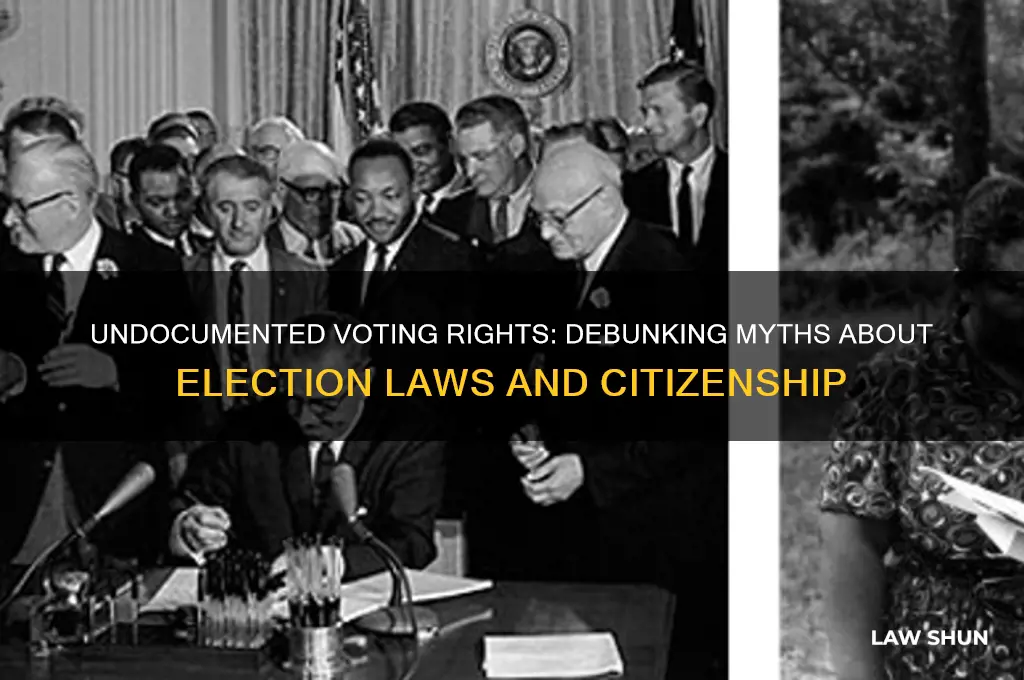 was there a law to allow undocumented people to vote