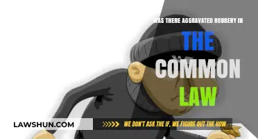 Robbery and Aggravated Factors: Common Law's Take