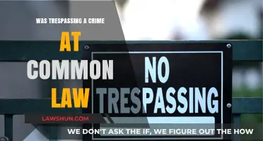 Trespassing: Common Law Crime and Its Evolution