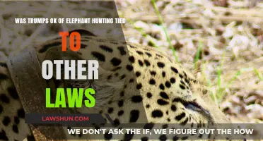 Trump's Elephant Hunting Approval: Linked to Broader Legislative Deals?