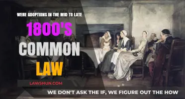 Adoption in the 1800s: A Common Law Affair?