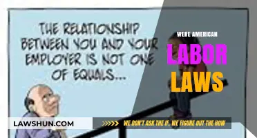 The Evolution and Impact of American Labor Laws: A Comprehensive Overview