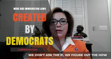 Democrats' Immigration Laws: Unfair and Unjust?