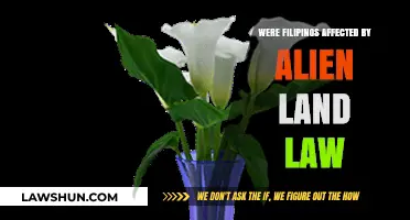 Alien Land Law's Impact: How Did It Affect Filipino Immigrants?