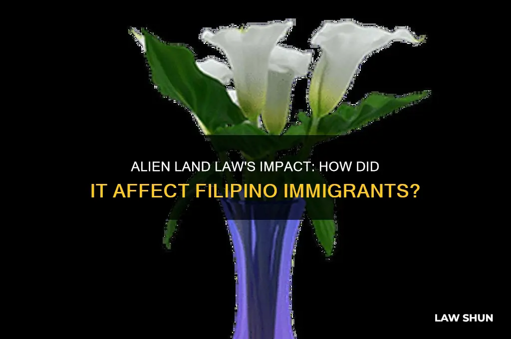 were filipinos affected by alien land law