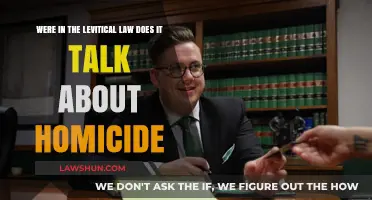 Homicide in Levitical Law: Exploring Biblical Justice and Penalties