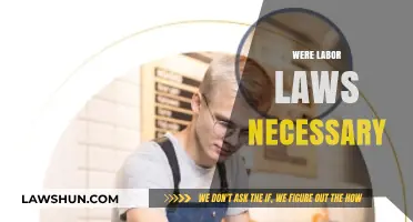 Were Labor Laws Necessary? Exploring Their Impact on Workers and Businesses