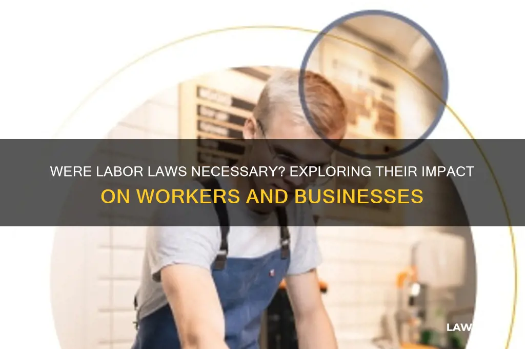 were labor laws necessary