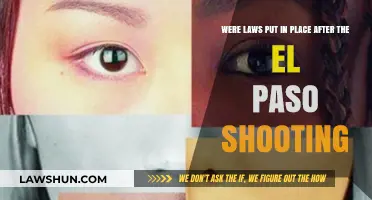 El Paso Shooting Aftermath: New Laws and Policy Changes