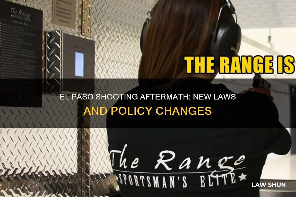 were laws put in place after the el paso shooting