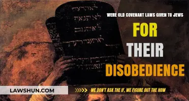 Old Covenant Laws: A Response to Jewish Disobedience?