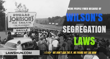 Wilson's Segregation Policies: Did They Lead to Mass Job Losses?
