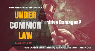 Punitive Damages: Common Law's Availability Question
