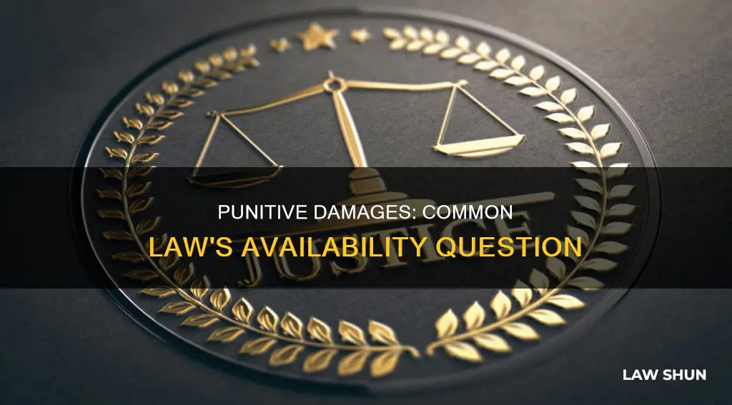 were punitive damages available under common law