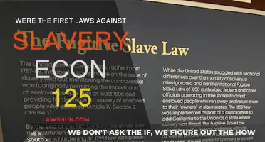 The First Anti-Slavery Laws: Economics and Morality