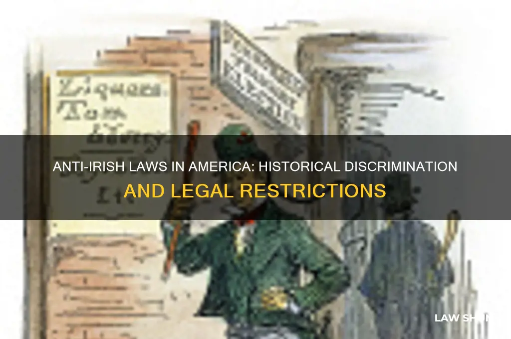 were there any anti irish laws in the us