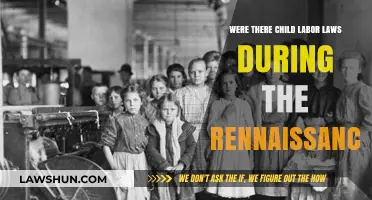 Child Labor in the Renaissance: Laws, Realities, and Historical Context