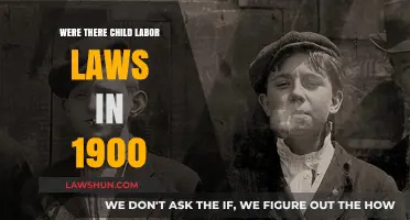 Child Labor Laws in 1900: A Historical Perspective