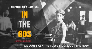 Child Labor Laws in the 1960s: Protecting Young Workers or Not?