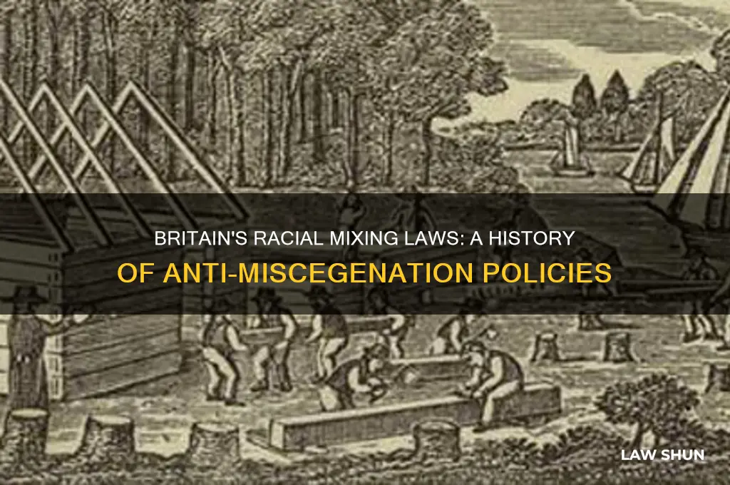were there ever anti miscegenation laws in britain
