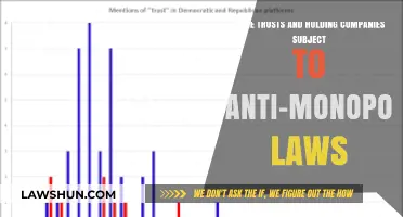 Trusts, Holding Companies, and Anti-Monopoly Laws: Legal Boundaries Explored