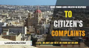 Zoning Laws: A Response to Citizen Complaints?