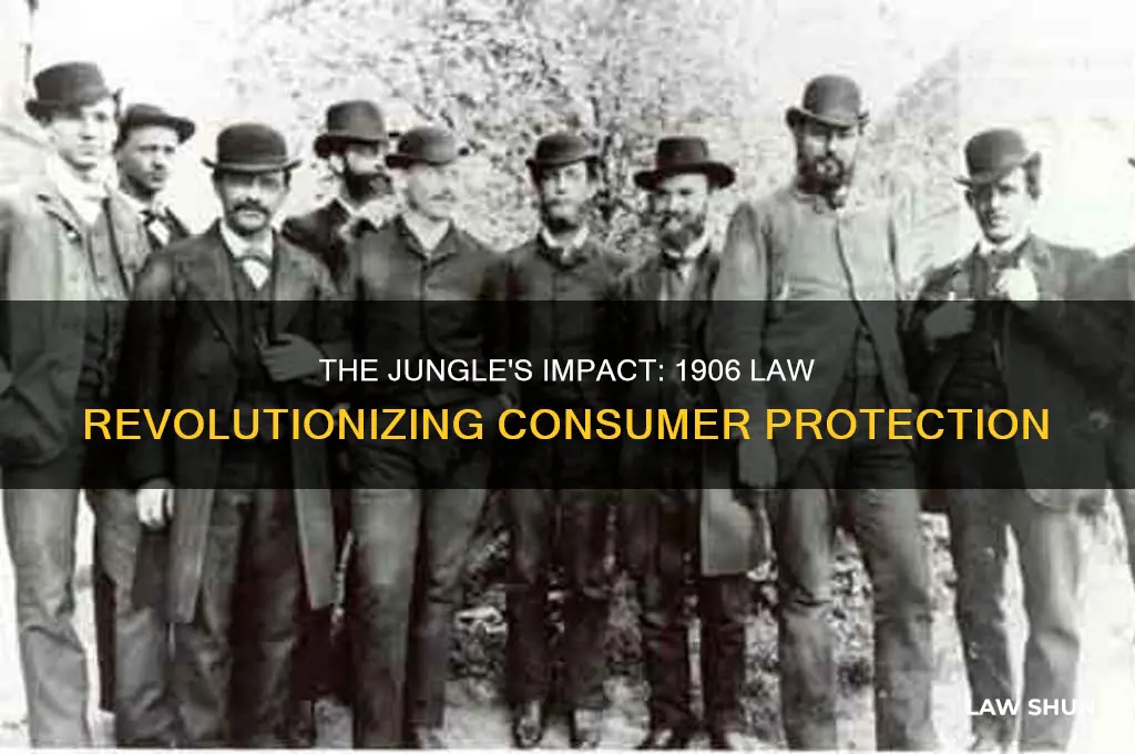 what 1906 consumer protrection law was inspired by the jungle