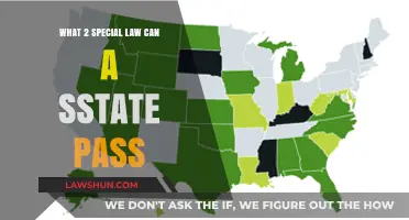 Special State Laws: Two Unique Powers