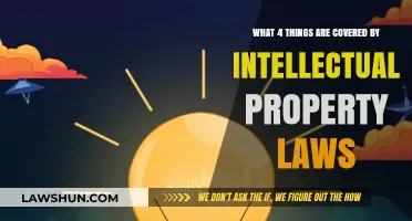 Understanding Intellectual Property: Key Areas Protected by Law