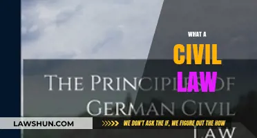 Understanding Civil Law: Key Principles and Real-World Applications Explained