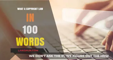 Understanding Copyright Law: A Concise 100-Word Overview
