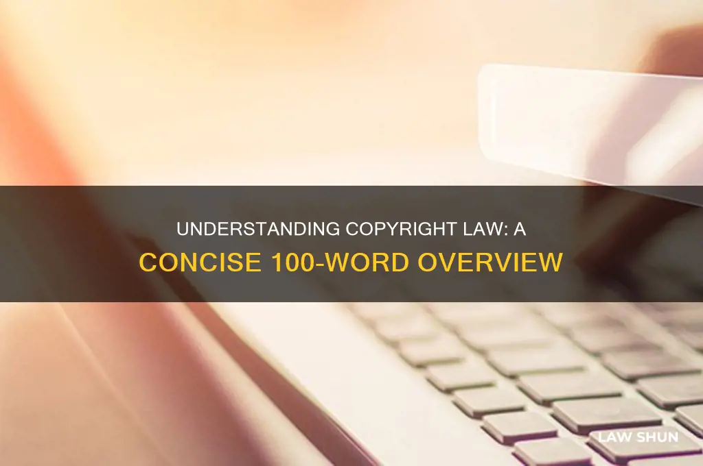 what a copyright law in 100 words