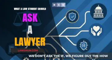 Essential Questions Law Students Should Ask Lawyers for Career Insights