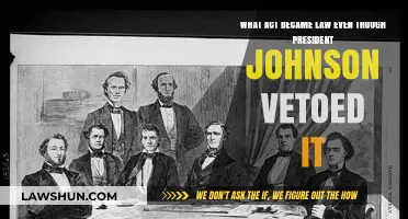 Overriding Johnson's Veto: The Civil Rights Act of 1866 Becomes Law