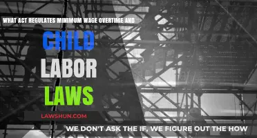 Understanding the Fair Labor Standards Act: Minimum Wage, Overtime, and Child Labor Laws