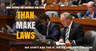 Congress' Powers: Beyond Lawmaking