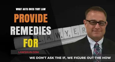Understanding Tort Law: Remedies for Civil Wrongs and Harmful Acts