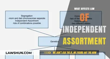 Factors Influencing the Law of Independent Assortment in Genetics