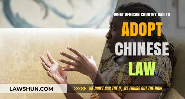 African Nation Adopts Chinese Legal System: A Surprising Shift