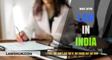 Career Options After Law: Exploring India's Legal Landscape