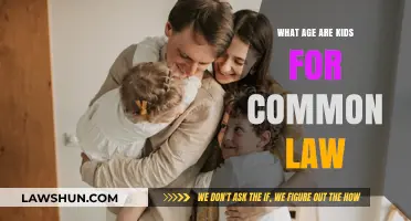 Understanding Common Law Rules for Kids