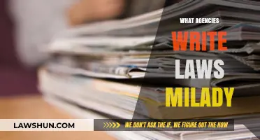 Understanding Lawmaking: Which Agencies Draft Legislation, Milady?