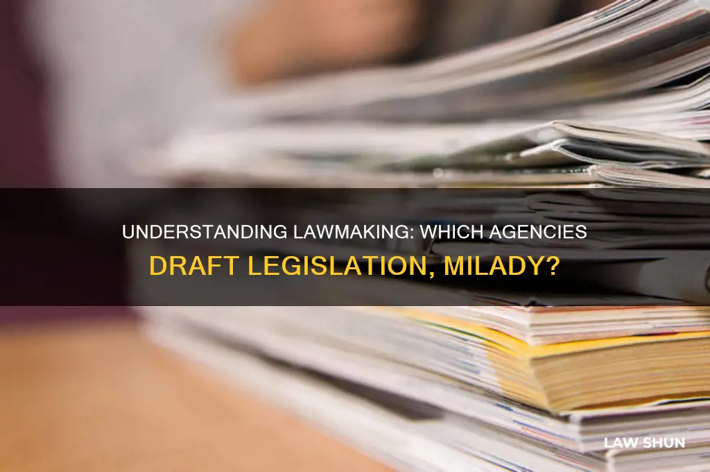 what agencies write laws milady