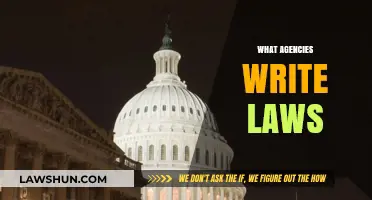 Who Writes Laws? Understanding the Role of Government Agencies
