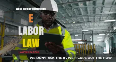 Which Government Agency Administers and Enforces Labor Laws in the US?