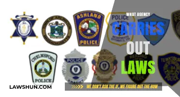 Understanding the Role of Government Agencies in Law Enforcement