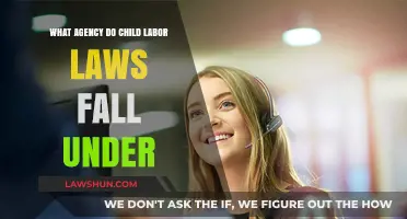 Understanding Child Labor Laws: Which Agency Enforces Regulations?