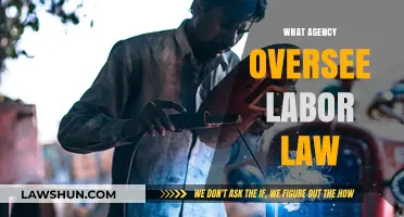 Understanding Labor Law Oversight: Key Agencies and Their Roles