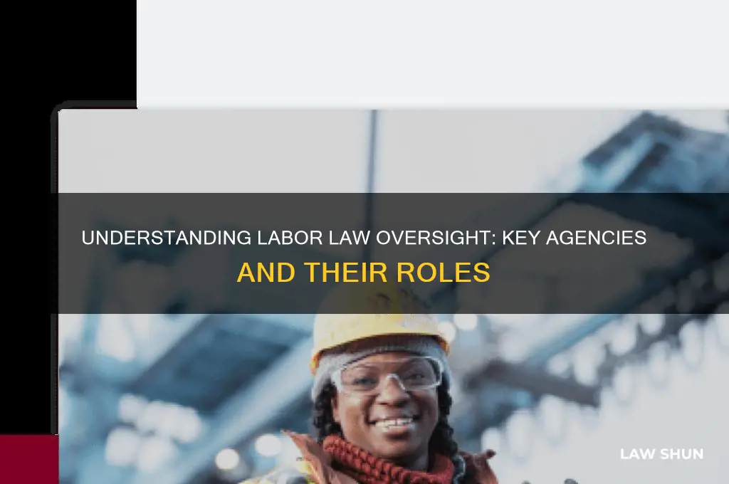 what agency oversee labor law